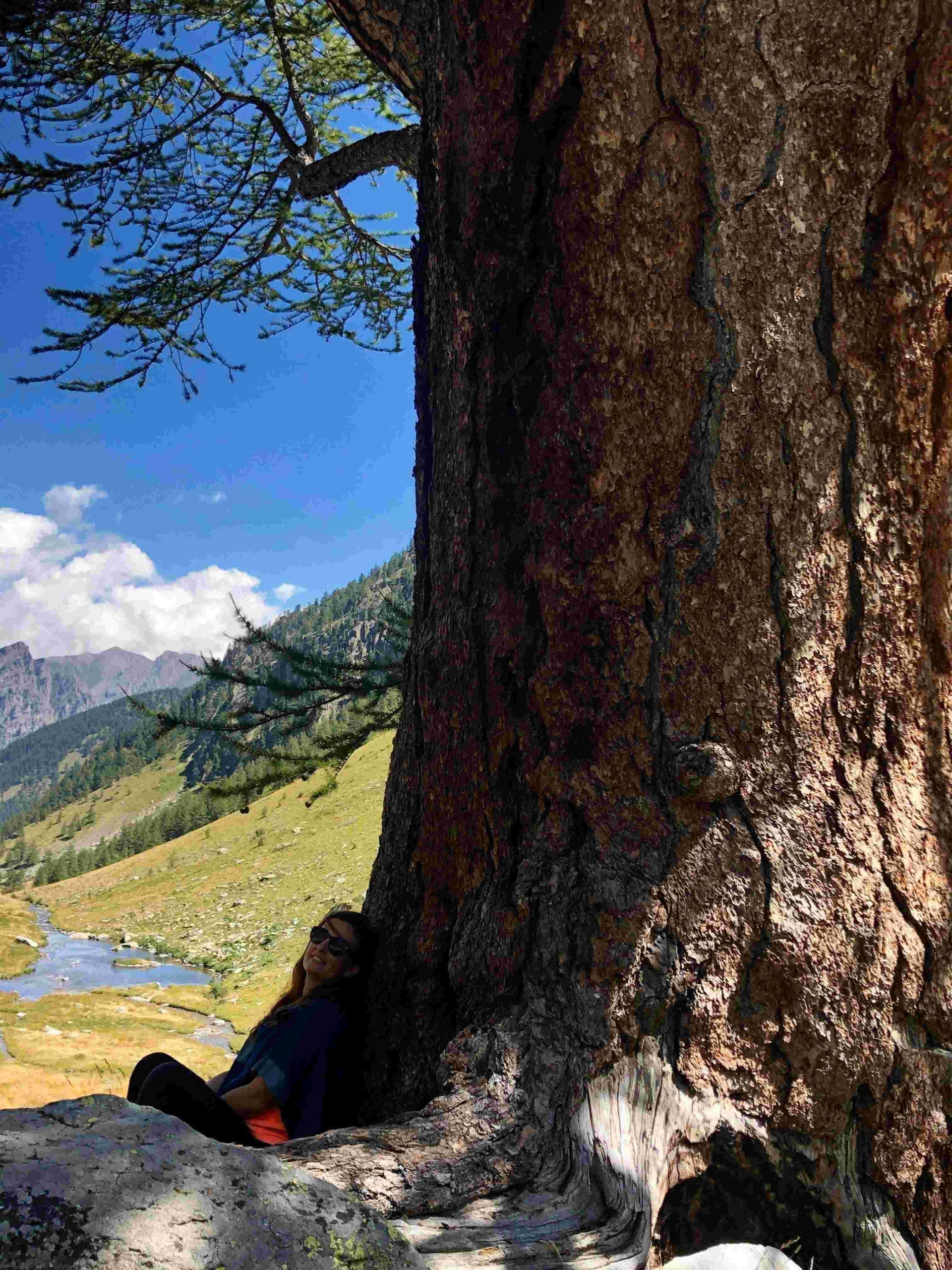a propos nature présentation nature